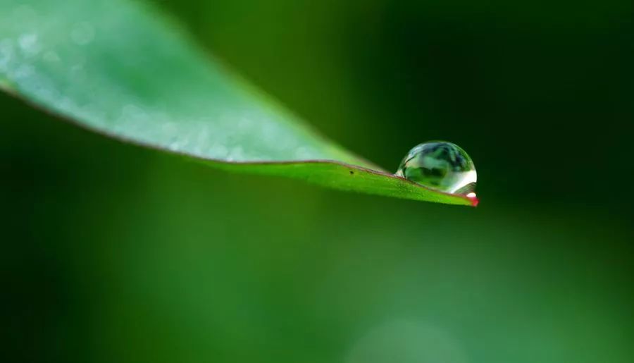 BJL平台集团_迪迪接近加盟莱斯特城(图1) BJL平台集团