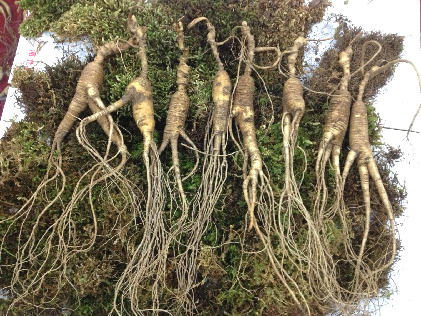 宫鲁鸣谈“爱国哨”:一直交代裁判要按亚运会标准吹罚【BJL平台集团】(图4) BJL平台集团