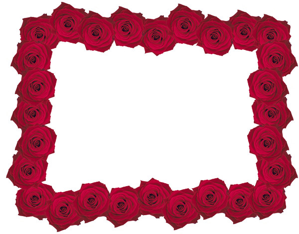 快递服务哪家强?顺丰德邦继续领跑,韵达天天低于行业水平-BJL平台集团(图4) BJL平台