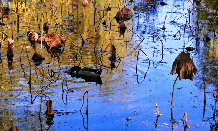 西峡县西坪一中扎实开展“教育精准扶贫,帮扶贫困学生”活动_BJL平台(图3) BJL平台集团